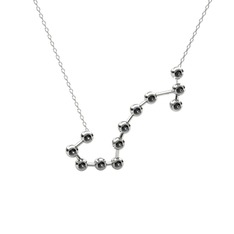 Scorpio Kolye - Siyah zirkon 925 ayar gümüş kolye (40 cm beyaz altın rolo zincir) #1bzzydx