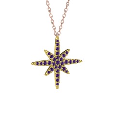 Kutup Yıldızı Kolye - Ametist 8 ayar altın kolye (40 cm gümüş rolo zincir) #1bllpd8