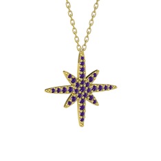 Kutup Yıldızı Kolye - Ametist 8 ayar altın kolye (40 cm gümüş rolo zincir) #1g8wijj