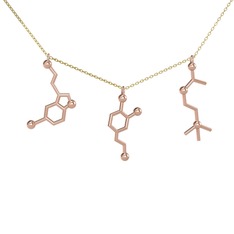 Mutluluk Hormonları Kolye - 8 ayar rose altın kolye (50 cm gümüş rolo zincir) #1qxgv2f