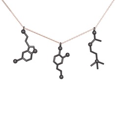 Mutluluk Hormonları Kolye - 925 ayar siyah rodyum kaplama gümüş kolye (50 cm rose altın rolo zincir) #98w1ia